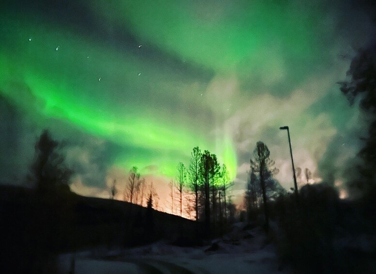 Picture 1 for Activity Harstad/Narvik/Tjeldsund: Northern Lights Sightseeing by Car