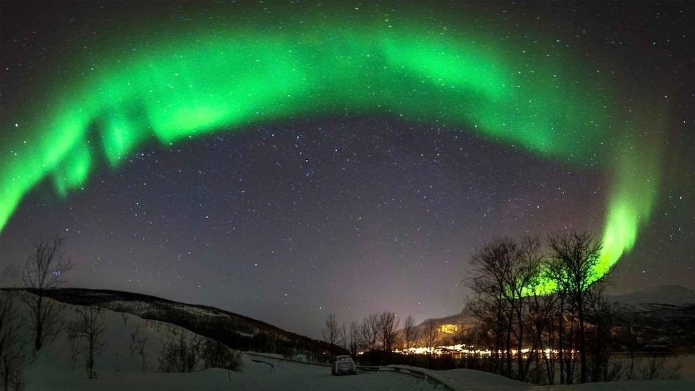 Picture 2 for Activity Harstad/Narvik/Tjeldsund: Northern Lights Sightseeing by Car