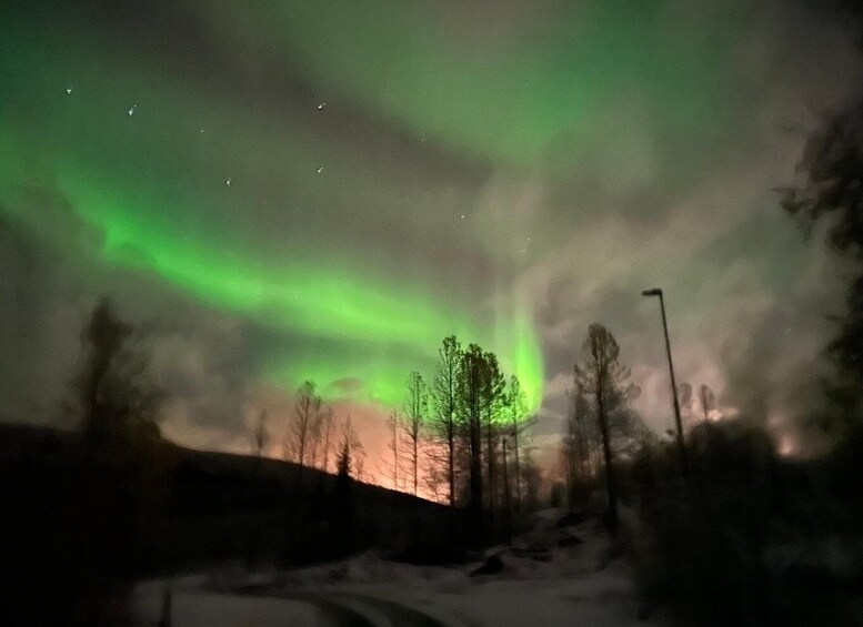 Picture 7 for Activity Harstad/Narvik/Tjeldsund: Northern Lights Sightseeing by Car