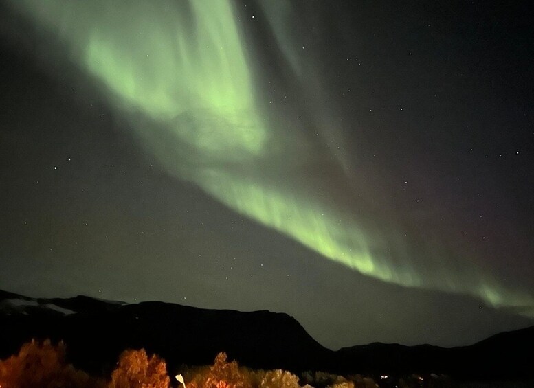 Picture 12 for Activity Harstad/Narvik/Tjeldsund: Northern Lights Sightseeing by Car