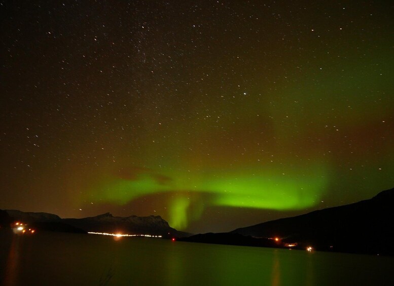 Picture 9 for Activity Harstad/Narvik/Tjeldsund: Northern Lights Sightseeing by Car