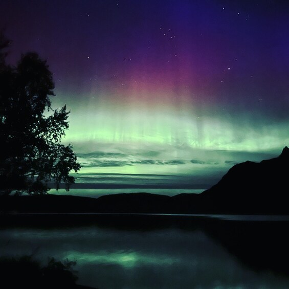 Harstad/Narvik/Tjeldsund: Northern Lights Sightseeing by Car