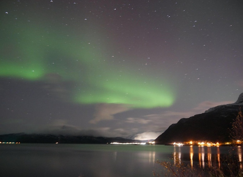 Picture 14 for Activity Harstad/Narvik/Tjeldsund: Northern Lights Sightseeing by Car