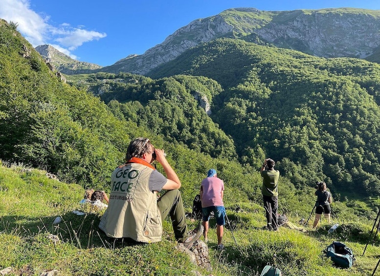 Picture 3 for Activity From Gijón, Oviedo or Pola de Somiedo: Brown Bear Spotting