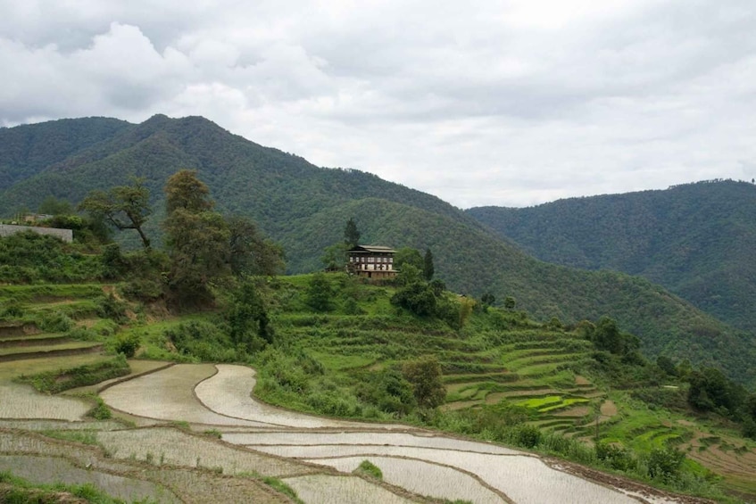 Picture 3 for Activity Photography Tour to Bhutan