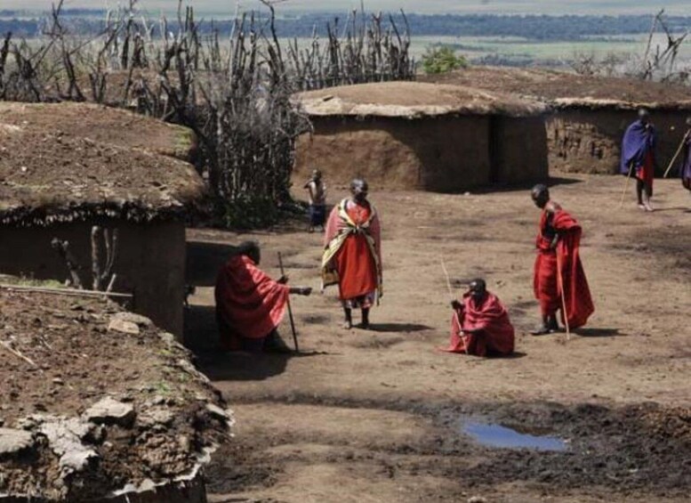 Picture 5 for Activity Maasai Village visit in Maasai Mara