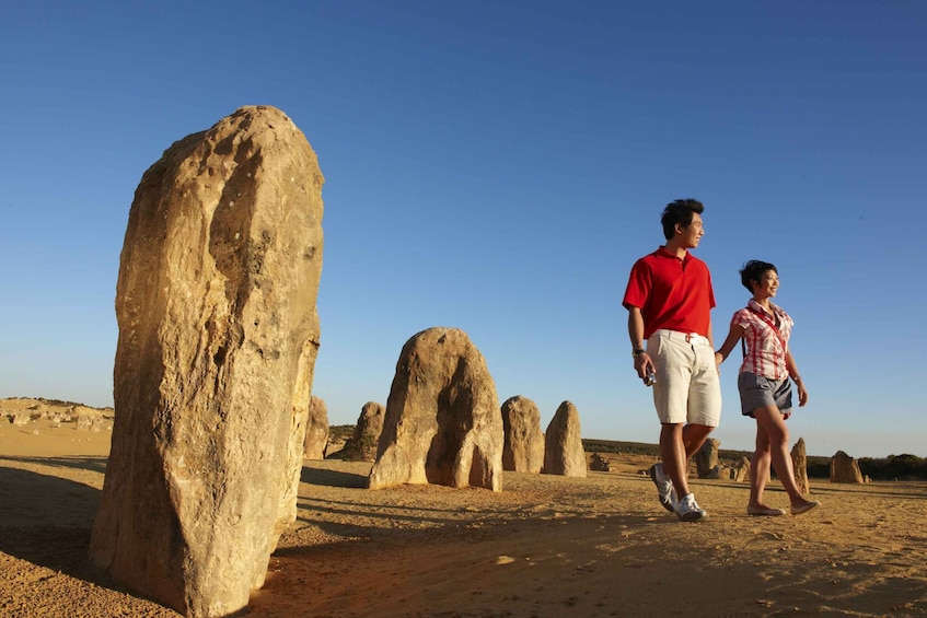 Picture 2 for Activity From Perth: Pinnacle Desert, Yanchep, & Swan Valley Day Tour