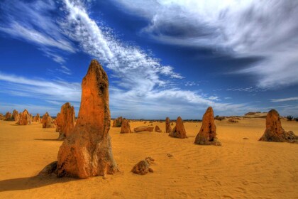 จากเพิร์ธ: ทัวร์หนึ่งวันทะเลทราย Pinnacles, Yanchep และ Swan Valley