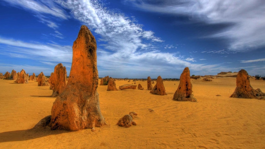From Perth: Pinnacles Desert, Yanchep & Swan Valley Day Tour
