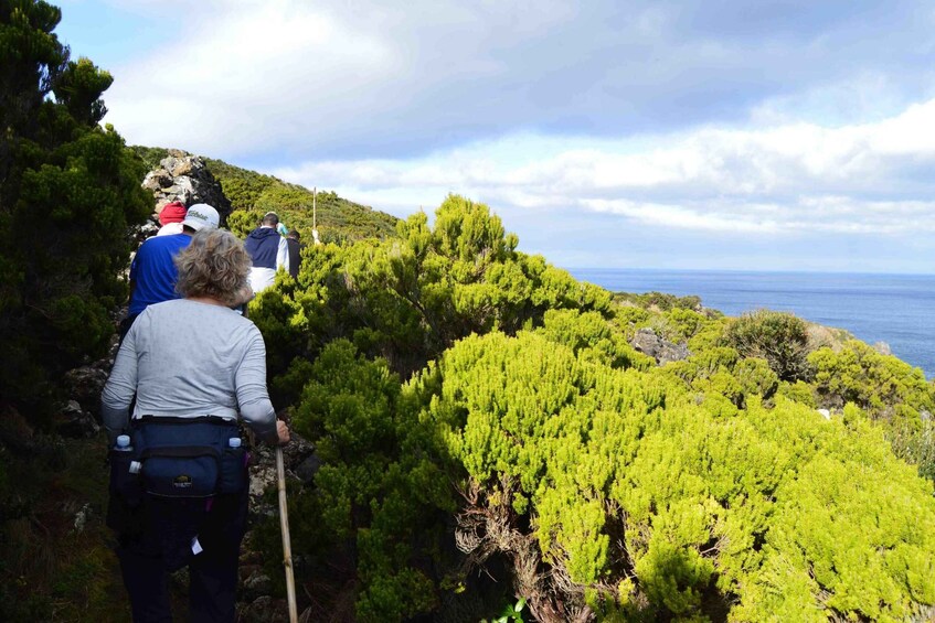 Picture 2 for Activity Terceira: Azores Half Day Hike