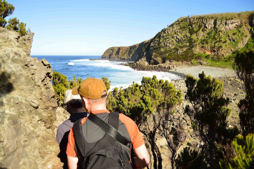 Picture 3 for Activity Terceira: Azores Half Day Hike