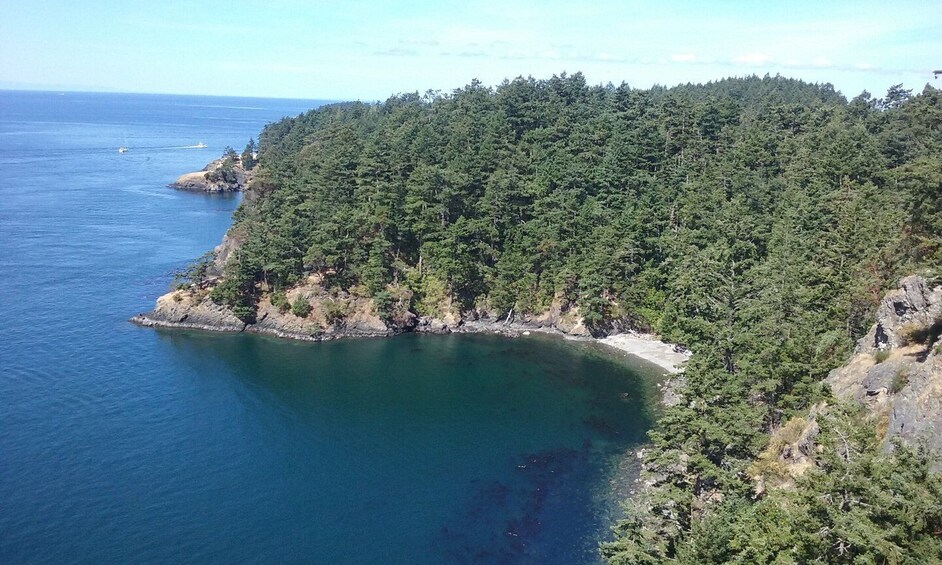 Picture 6 for Activity From Seattle: Whidbey Island and Deception Pass Private Tour