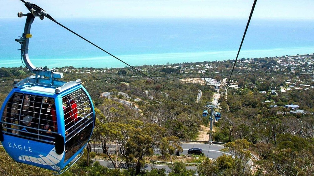 Picture 2 for Activity Arthurs Seat Eagle: Scenic Gondola Ride