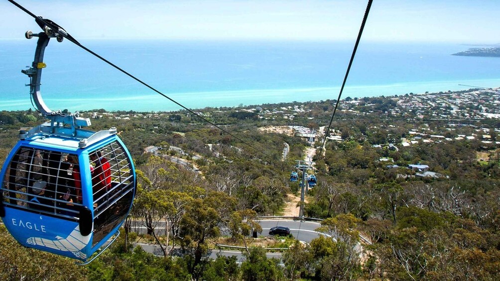 Picture 2 for Activity Arthurs Seat Eagle: Scenic Gondola Ride