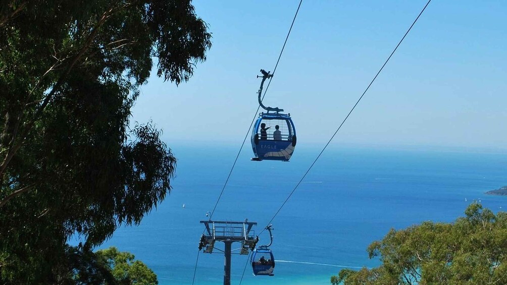 Picture 1 for Activity Arthurs Seat Eagle: Scenic Gondola Ride