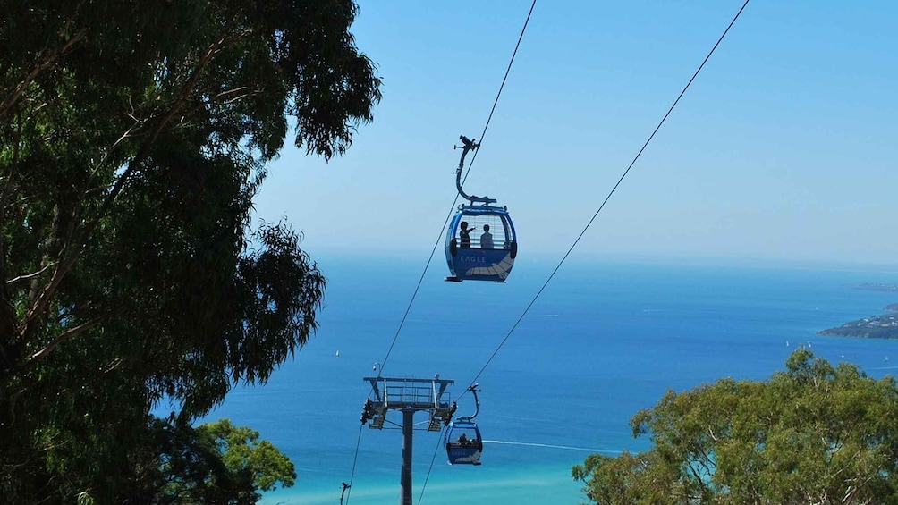 Picture 1 for Activity Arthurs Seat Eagle: Scenic Gondola Ride