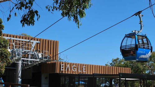 Arthurs Seat Eagle: Scenic Gondola Ride