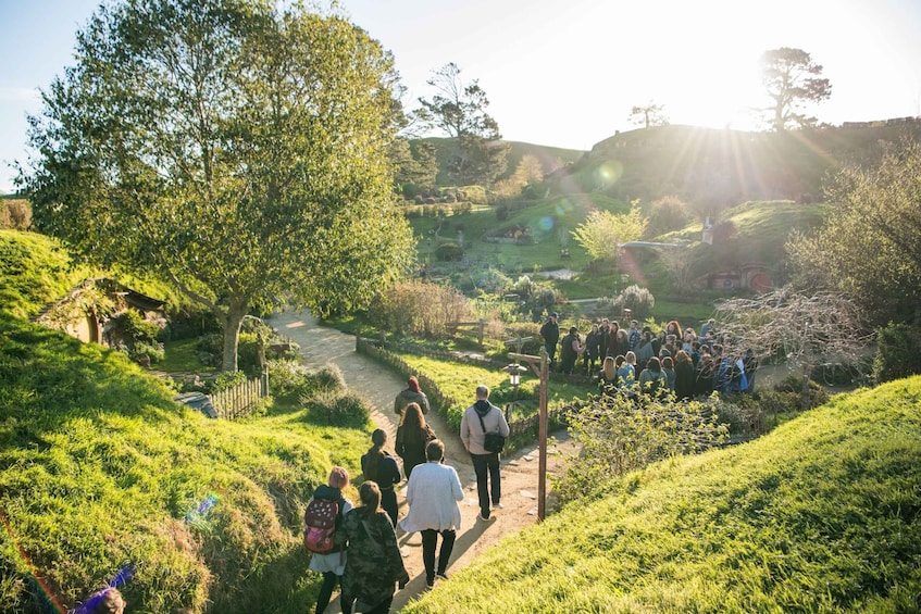 Picture 5 for Activity From Matamata: Guided Hobbiton Experience with Bus Transfers