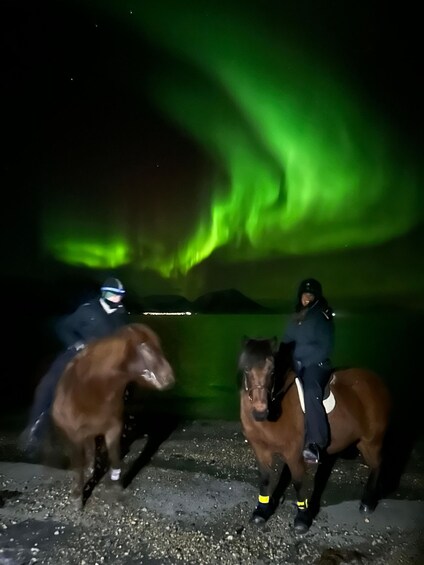 Picture 3 for Activity Tromsø: Lyngen Horseback Winter Evening Riding Experience