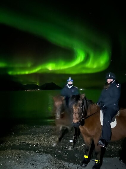 Picture 4 for Activity Tromsø: Lyngen Horseback Winter Evening Riding Experience