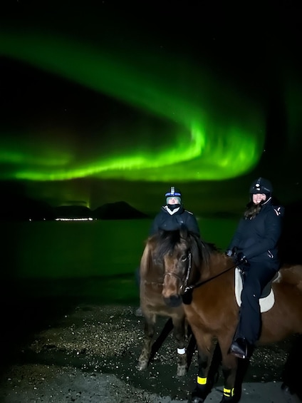 Picture 2 for Activity Tromsø: Lyngen Horseback Winter Evening Riding Experience