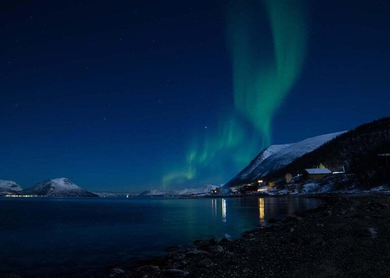 Picture 5 for Activity Tromsø: Lyngen Horseback Winter Evening Riding Experience