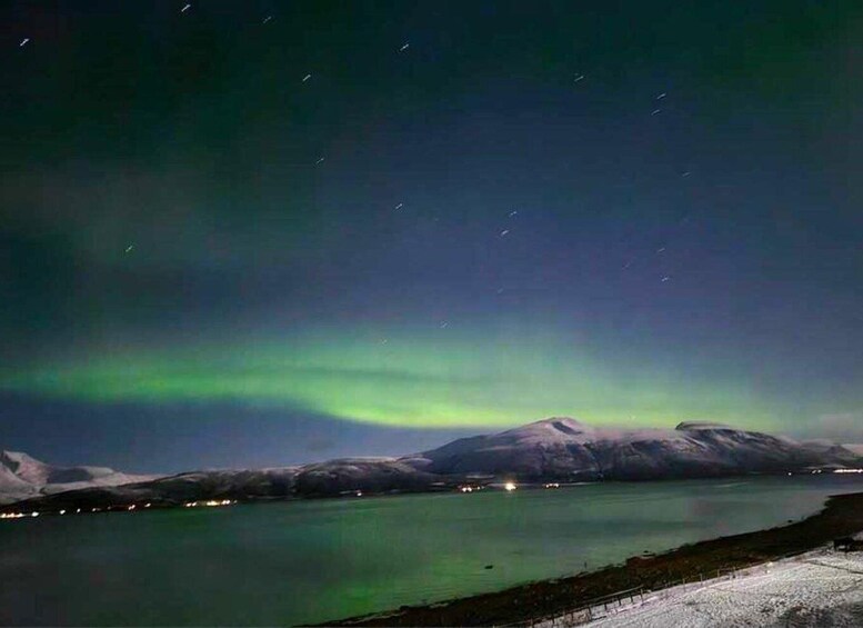 Picture 6 for Activity Lyngen Horseback Winter Evening Riding Experience