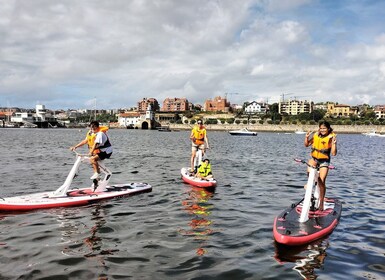 Getxo: Bay of Biscay Guided Water Bike Tour