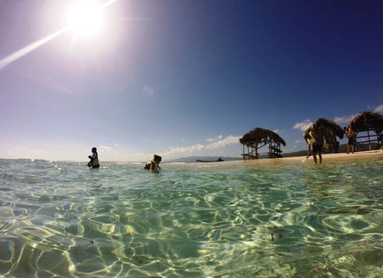 Picture 3 for Activity Cayo Arena: Paradise Island and Mangroves Tour