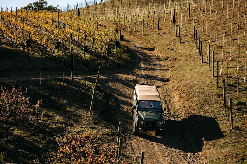 Picture 7 for Activity Los Angeles: Private 4x4 Vineyard Tour in Malibu