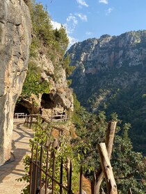 Cedros de Dios, Qadisha y Gibran c/recogida, guía, entradas+almuerzo