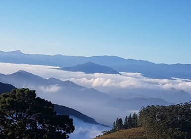 Exclusive knuckles Camping Tour from kandy