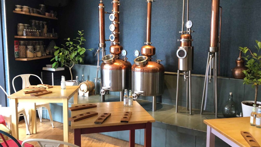 Distillery Masterclass 8 Scottish gins paired with cheeses