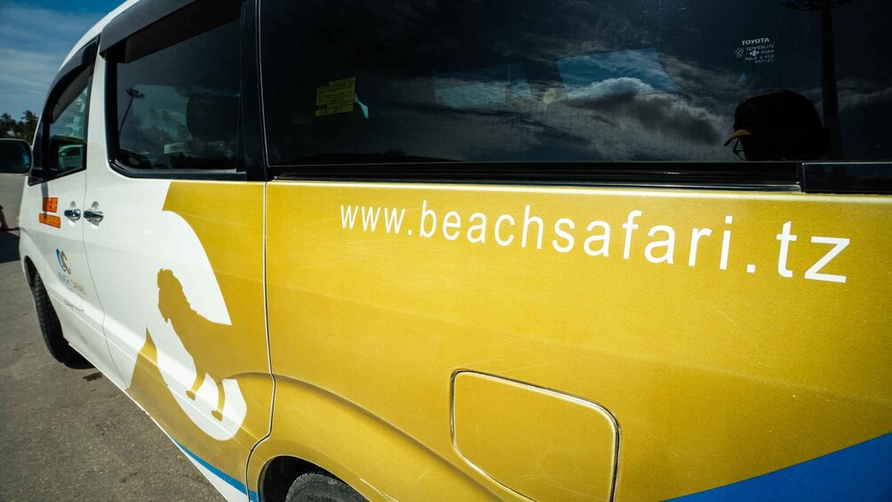 Picture 6 for Activity Zanzibar: Mangapwani Historical Cave experience trip