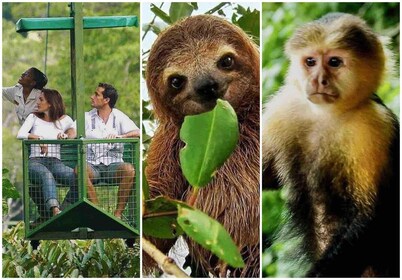 Panama: Buffet, Aerial Tram, Gatun BoatTour, Sloth Sanctuary