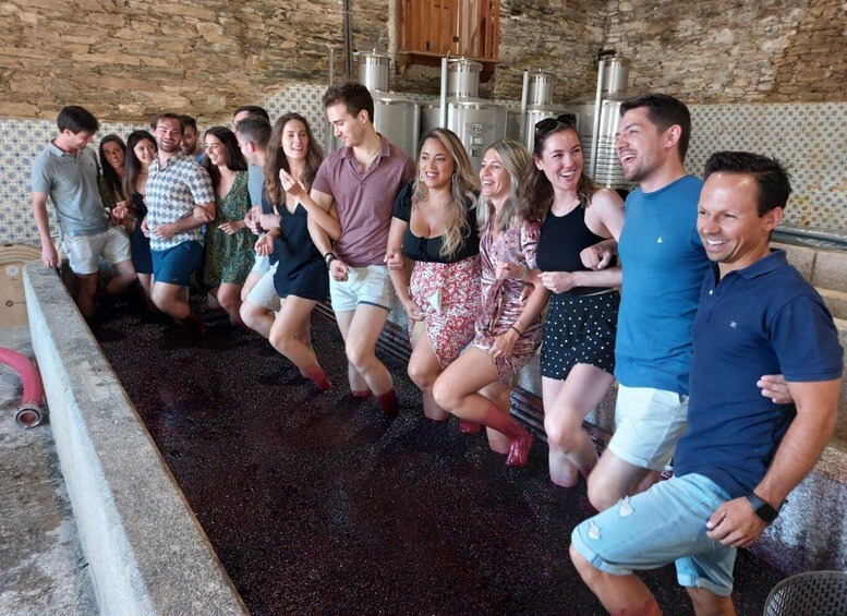 Picture 1 for Activity Douro Valley : (Pinhão) Quinta da Foz - Tour&Tasting 5 WINES