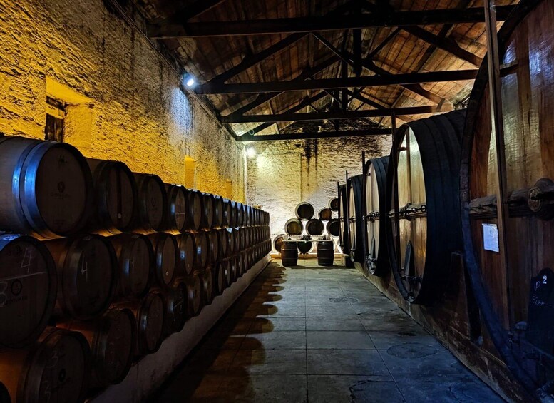 Picture 3 for Activity Douro Valley : (Pinhão) Quinta da Foz - Tour&Tasting 5 WINES