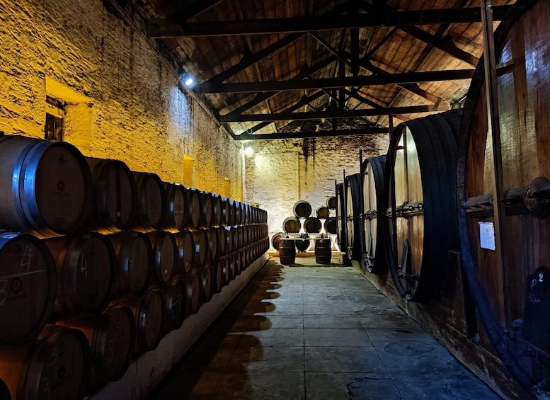 Picture 3 for Activity Douro Valley : (Pinhão) Quinta da Foz - Tour&Tasting 5 WINES