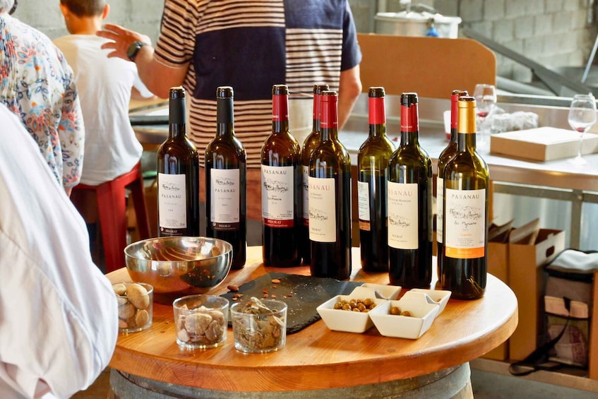 Picture 2 for Activity From Barcelona: Priorat's Exclusive Cellars, Wines & Nature