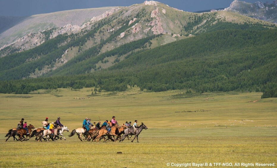 Picture 2 for Activity From Ulaanbaatar: Mini Gobi and Terelj tour