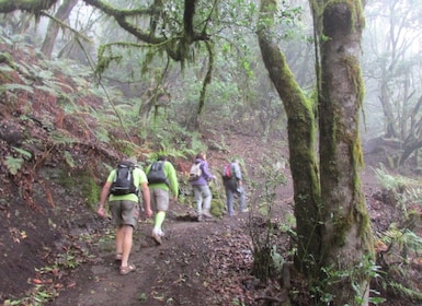 La Gomera: Hamlets of the North Hiking Route Tour