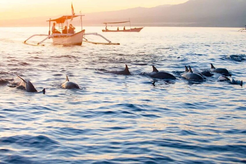 Picture 3 for Activity Bali: Lovina Dolphin Watching and Snorkeling Boat Tour