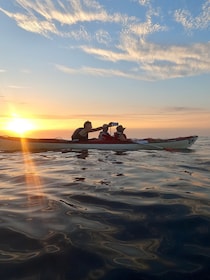 Marciana Marina: Evening Sea Kayaking Tour with Swim Stop