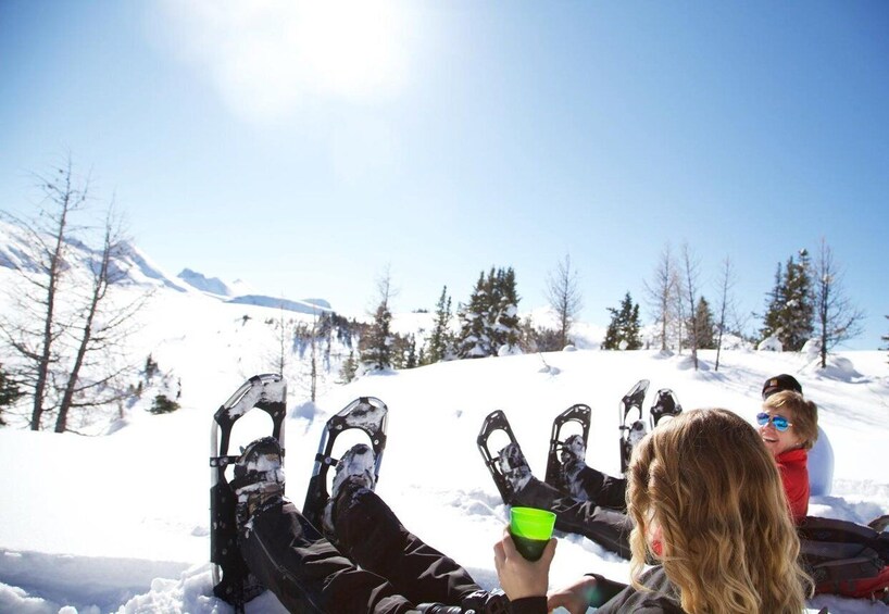 Picture 6 for Activity Banff National Park: Sunshine Meadows Snowshoeing Experience