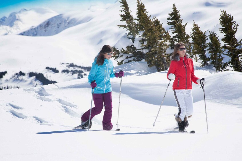 Picture 2 for Activity Banff National Park: Sunshine Meadows Snowshoeing Experience