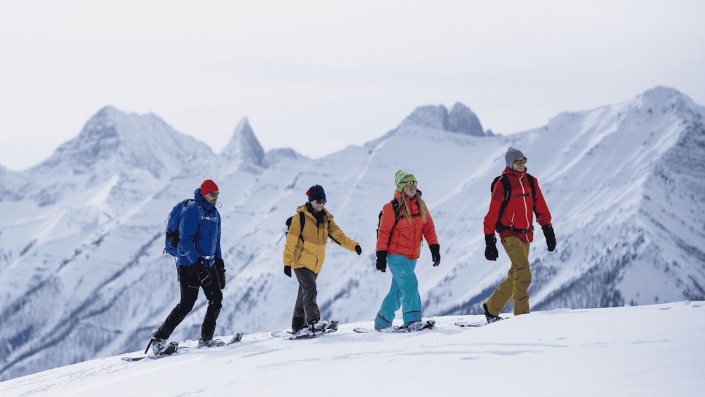 Picture 1 for Activity Banff National Park: Sunshine Meadows Snowshoeing Experience