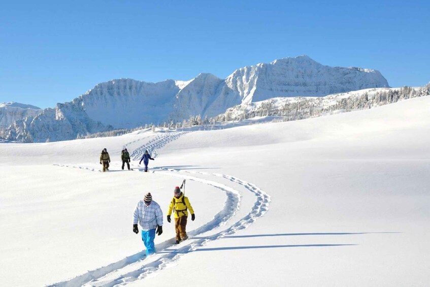 Picture 5 for Activity Banff National Park: Sunshine Meadows Snowshoeing Experience