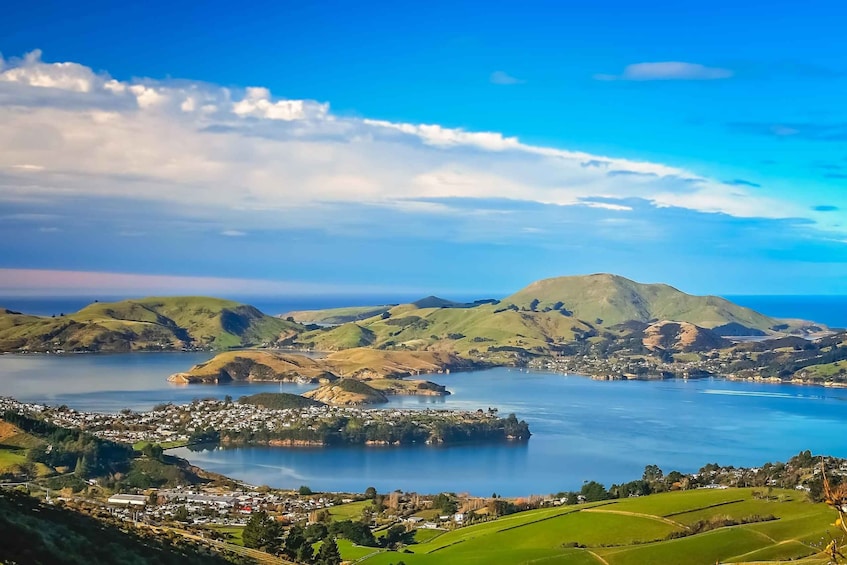 Picture 2 for Activity From Port Chalmers: City, Sights & Larnach Castle