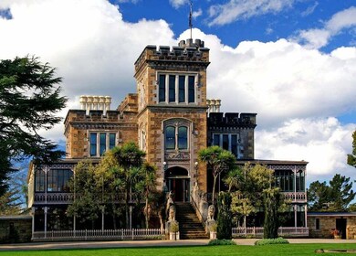 From Port Chalmers: Castle, Coast & City Tour