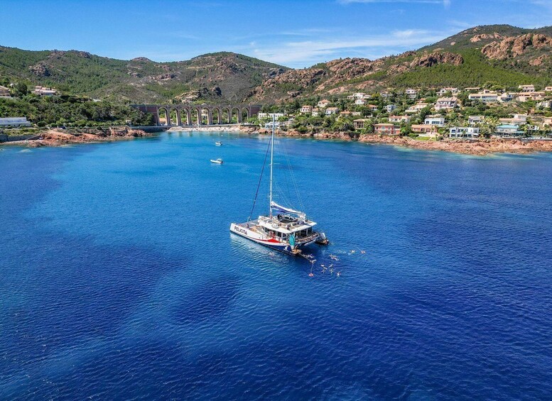 Guided Cruise: beautiful sites of Saint Raphael's Coastline